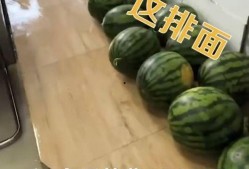 花臂老师网红吃瓜,网红吃瓜界的风云人物